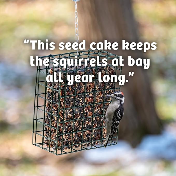 Birds Choice Trail Blazin' Spicy Bird Seed Cake | Squirrel Proof Wild Bird Food with Red Pepper | Black Oil Sunflower Seeds, Peanuts, Safflower & Pecans | High Protein Bird Feeder | 0.5 lbs (6-Pack)