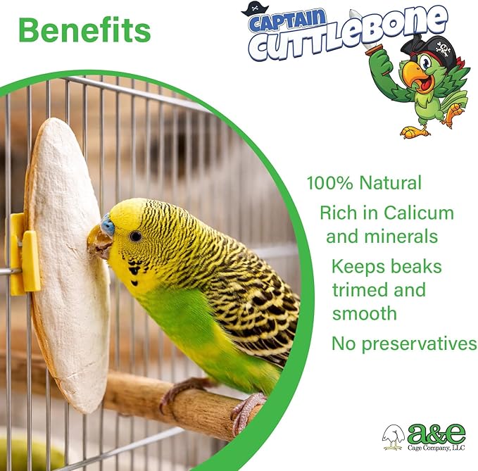 A&E Cage Company Captain Cuttlebone AE9012 Natural Bird Cuttlebone – 5lb Bulk Box of 6–8" Cuttlebone Pieces – Calcium Supplement for Parakeets, Budgies, Finches, Canaries, Lovebirds & Small Birds