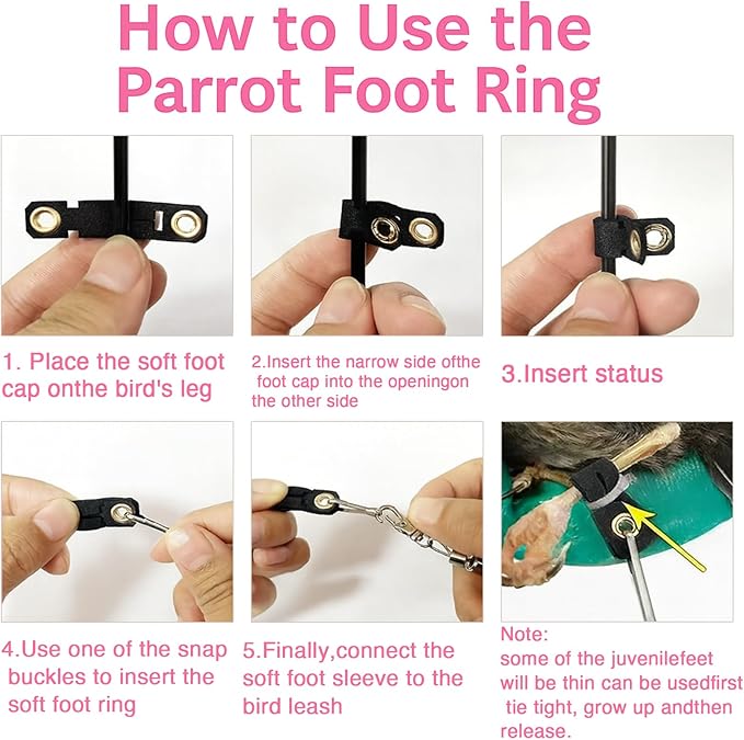 Pink bird parrot cape,parrot training tools kit Poop Guard, with 2 Wrist Straps, Leash, Training Whistle,Treat Box,Washable Bird Accessory for Conure/Cockatiel/African Grey