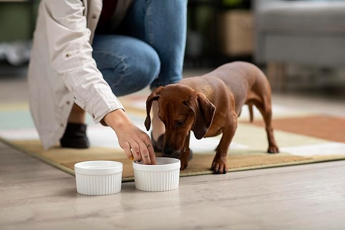 Canina Barfer's Best - Powder - 2kg