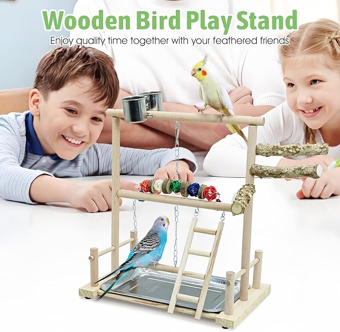 kathson Bird Play Stand Parrot Perch Stand Natural Wood Bird Playground Playstand for Cockatiel Conures Parakeet Parrots Budgie Lovebird Finch Small Birds