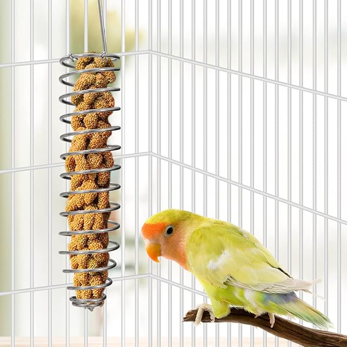 Bird Foraging Toy Feeder Parrot Treat Fruit Vegetable Seed Holder Feeder Food Basket Tool Stainless Steel Cage Accessories for African Grey Conure Parrots Cockatoo Parakeet Cockatiel