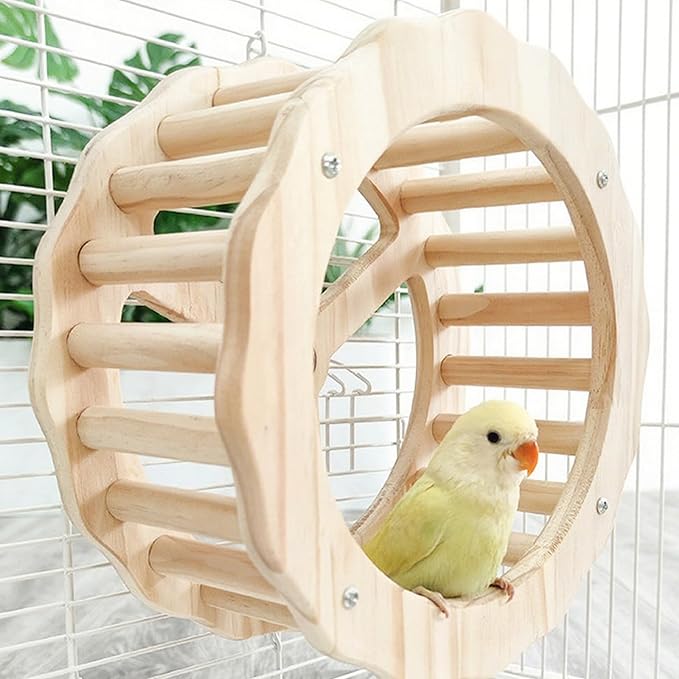 Bird Stand Perch Toy,Interactive Rocking Parakeet Toy and Perch, Wooden Exercise Wheel Cockatiel Toy, Intelligence Puzzle Enrichment Toys,Bird Playground Play Stands for Conure Budgie(D)