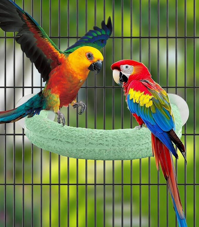 U Shape Parrot Perch Cage for 4cm Large Pad Fits Horizontal Vertical Bars Washable Bird perches Washable Colorfast Resin Perch for Budgies, Cockatiels to Trim Nails Beak Naturally (Green)