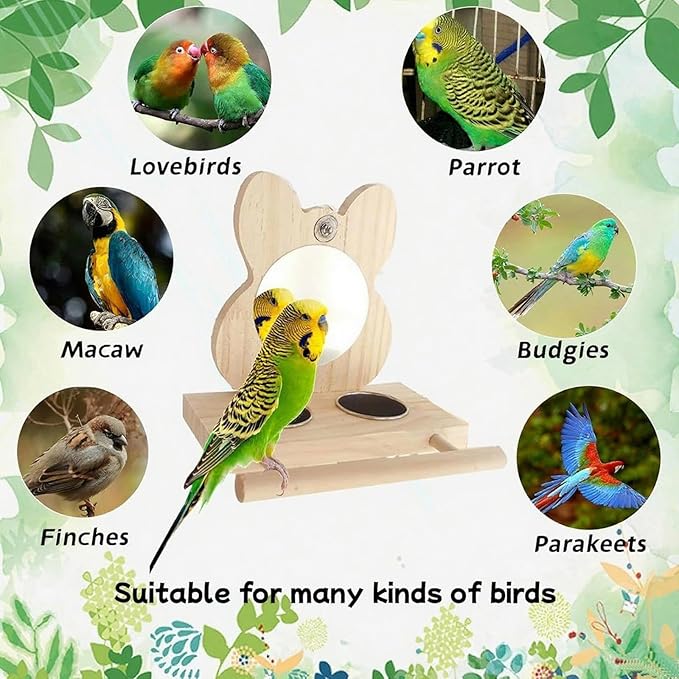 Bird Feeder with Stainless Steel Dish, Natural Wood Perches & Mirror - Easy Clean/Refill for Cockatiels, Lovebirds, Canaries, Finches, Budgies & Small/Medium Birds - Parrot Cage Accessories