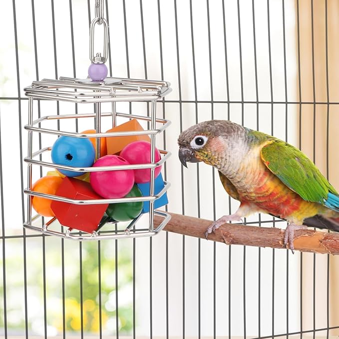 Hypeety Bird Foraging Toys Stainless Steel Foraging Basket Millet Holder for Bird Cage Unique Hanging Feeder for Macaws Cockatoos African Grey Cockatiel Conures Amazon Parrot(Feeder+Blocks)