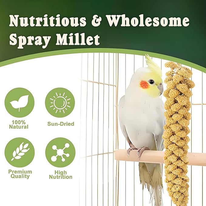 RANZ 5LBS Spray Millet Treat for Pet Birds, Hand-Harvested Bird Snack, Natural Sun-Dried Millet Spray for Parakeets, Parrots, Cockatiels, Lovebirds, Budgies, Finches, Canaries