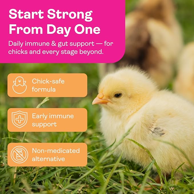Chicken Probiotics & Vitamins – Immune Support and Stress Relief Supplement for Chicks and Adult Chickens – Digestive Health with Oregano & Garlic – Poultry Feed Additive – 1.5 lb