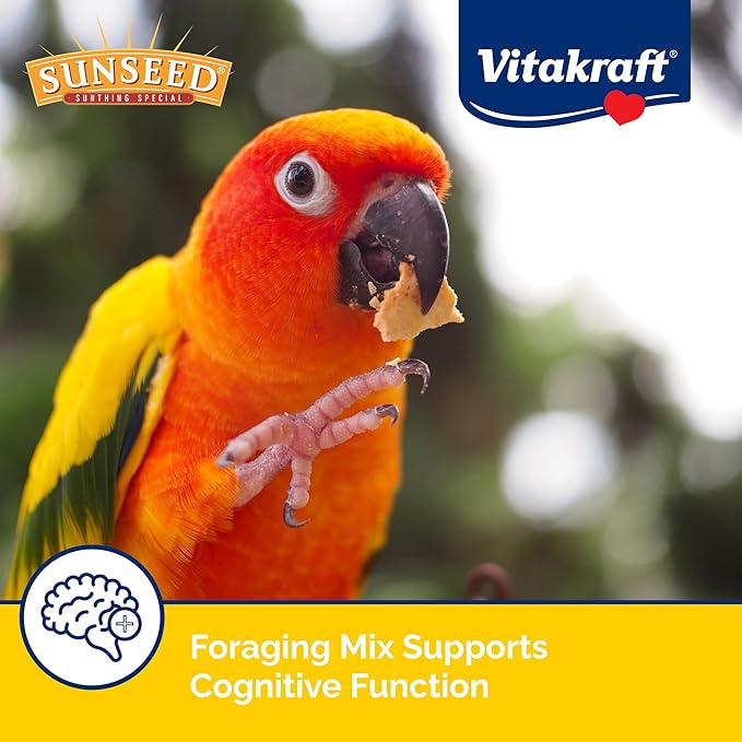 Sunseed Vita Prima Conure Food – Nutrient-Rich Blend with Fruits,Vegetables & Seeds Supports Healthy Feathers,Eyes & Active Energy – 3 lb Bag,(Pack of 2)