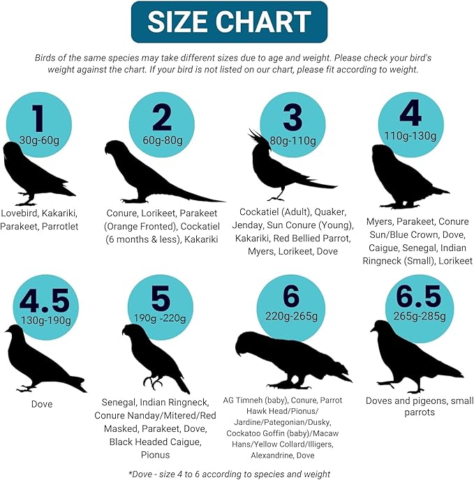 Bev's Bird Boutique Regular Flyper Adjustable Bird Diaper | Reusable, Washable Cloth | Comfort Fit for Parrot, Cockatiels, & Other Small Birds | Fashionable Avian Accessories, Pirate, Size 9.5