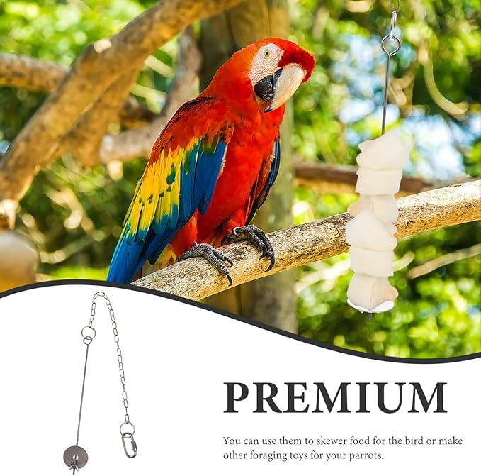 2pcs Stainless Steel Bird Fruit Forks for Parrot and Finch, Large Size Food Stick Holders for Cage Feeding, Sturdy Silver Metal Feeder Tools for Pet Birds