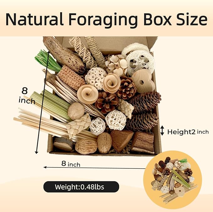 40PCS Natural Foraging & Chew Parrot Toy,Shredding Box for Parakeets, Cockatiels, Conures & Lovebirds and Other Small to Medium Birds (Large)