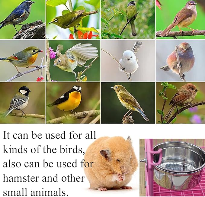 PINVNBY Parrot Feeding Dish Cups,Stainless Stee Bird Feeder Birds Food Water Bowls with Clamp Holder,Parakeet Cage Dish Perch Stand Toys(3 Pcs)