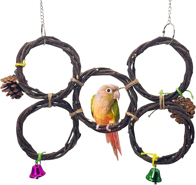 BNOSDM Bird Swing Rings Toy Natural Wood Parrot Climbing Ladder Parakeet Chewing Toys Hanging Budgie Cage Accessories for Green Cheek Conure Cockatiel Lovebird (5 Rings)