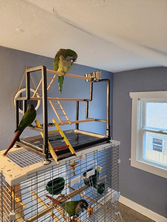 Bird Playground, Playstand for Small to Large Birds with Collapsible Metal Frame, Heavy Duty Quick-Install No Tool Request, 4 Standing Perch, 2 ladders and 2 Bird Cups