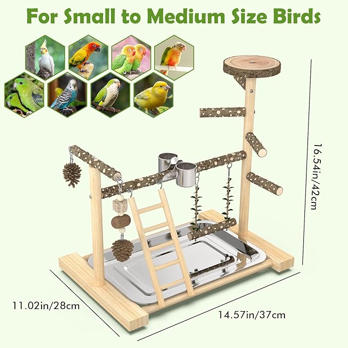 Bird Playground，Natural Wood Bird Perch Stand Parakeet Playground with Swing, Ladder & Feeder Cups，Birds Play Stand for Cockatiel Parakeet Lovebirds Conure