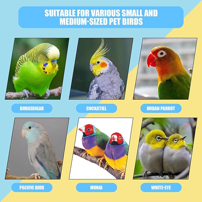 Bird Water Feeder,2PCS Automatic Bird Water Dispenser for Cage,Parrot Water Bottle Drinker Food Seed Dispenser Cage Accessories for Parrots Budgie Lovebirds Parakeet Cockatiel (Clear 150ML)