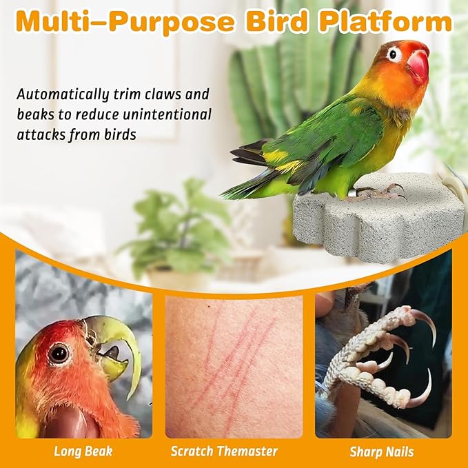 PINVNBY 6 PCS Bird Perch Parrot Beak Grinding Stone Calcium Mineral Parrot Perch Foot Claws Trimmer Chewing Toy Bird Cage Accessories for Small Medium Budgie Cockatiel Conure Lovebird (Grape)