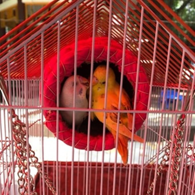 YJJKJ Pet Products Bird Nest Handwoven Straw House for Parakeets Cockatiels Parrot Budgie Or Small Pet (XL, Light Blue)