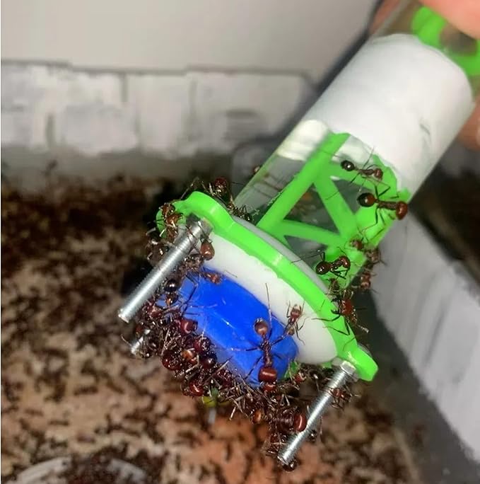 Ant Water Feeder Ant Farm Accessories Mini Liquid Feeder(3PCS)