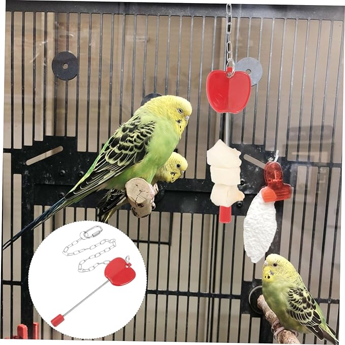 Stainless Steel Fruit Fork Toy Bird Feeder Accessory Parrot Skewer Bird Cage Supplies Easy to Use