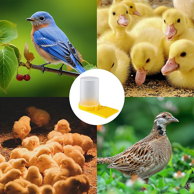 Large Capacity Quail Water Feeder, Quail Feeder, Baby Bird Button Quail Yellow Water Feeder, for Cage, Baby Chick Waterer, Ideal Feeders for Baby Bird