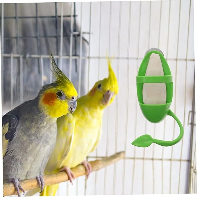 BESPORTBLE 1set Cage Bird Feeder Cuttlebone Stand Bird Cage Accessories for Parrots Snails and Pets Safe Non- Design for Easy Feeding and Entertainment