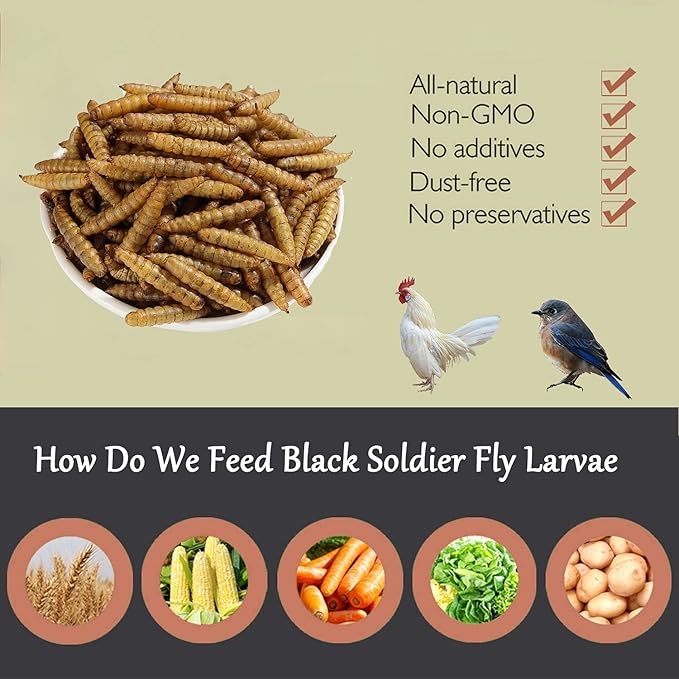 Non-GMO High-Protein Large Dried Black Soldier Fly Larva for Chickens, Natural Grubs and Poultry Treats as Chicken Feed,Duck Food, Wild Birds Seed,Reptile Food(Black Soldier fly-6LB)