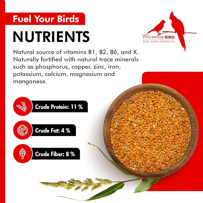 Morning Bird Red Proso Millet 1.5 lbs – Natural Bird Seed – Supports Feather Growth & Balanced Nutrition – Great Flavor, Energy Dense - Ideal for Finches, Parakeets & Pet Birds