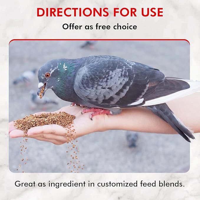 Morning Bird Pigeon Grit - Healthy & Nutritious Pigeon Food to Support Strong Muscles & Bones for Grit Eating Birds - Supports Digestion & Packed with Essential Minerals 18 lbs (2-Pack, 9 lbs Each)
