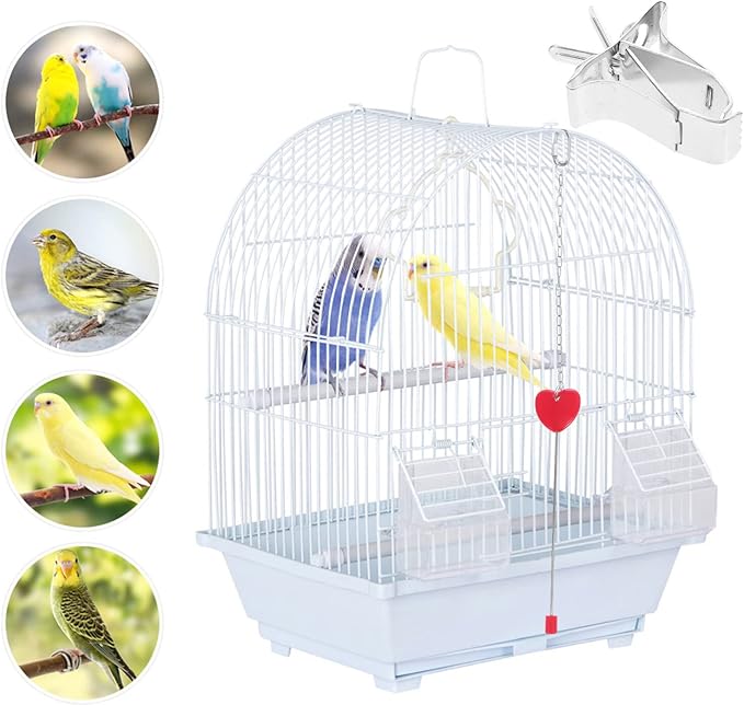 ULTECHNOVO Birds Food Holders, Food Vegtable Fruits Holder Bird Feeder Cage Birds Feeder Devices Clip Vegetables for Cockatiel Bird Parrot Hamster 5Pcs