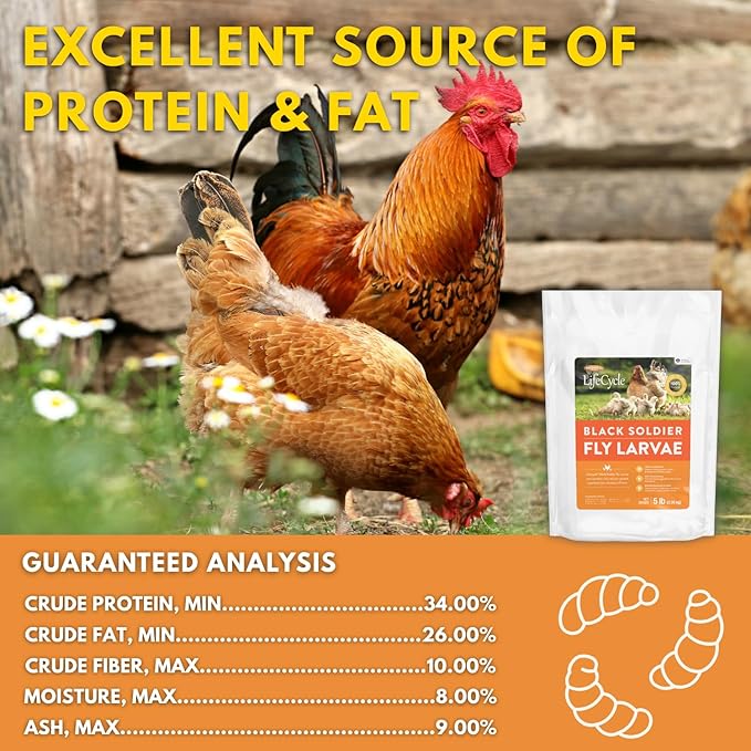 Brooks Brand Black Soldier Fly Larvae Chicken Treats, Mealworms Alternative, Grubs for Chickens, High Calcium for Laying Hens, Made in USA, 1.75 lbs
