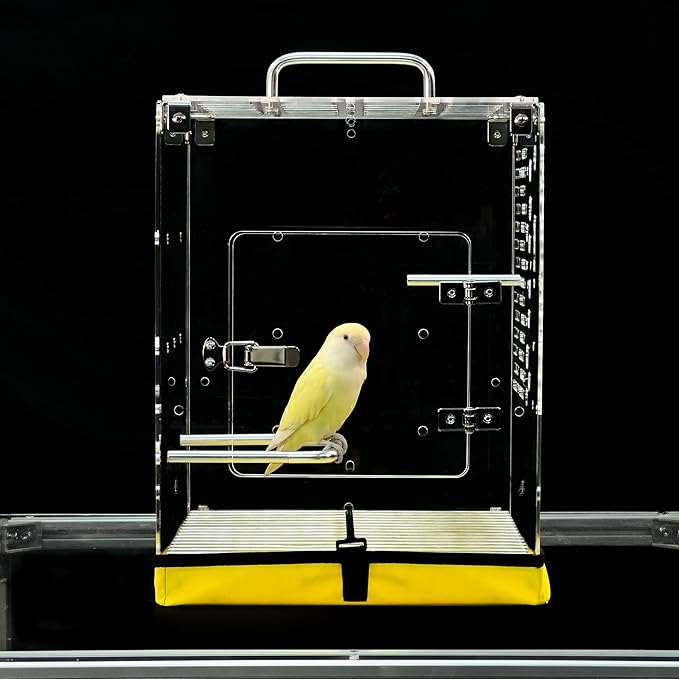 GuineaLoft™ Acrylic Bird Cage Model-ETO, Crystal Clear, 360° Panoramic View, Portable & Easy Clean Design with Canvas Bottom- Visit the GuineaLoft Store