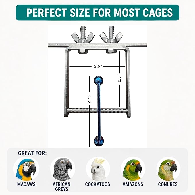 Bird Toys for Large Birds (Blue Spinner) Stainless Steel Bird Toy with Traveling Spinner | Macaw Toys | Durable Puzzle Enrichment Toy for Medium to Large Birds Cockatoos Parrot | Bird Cage Accessories