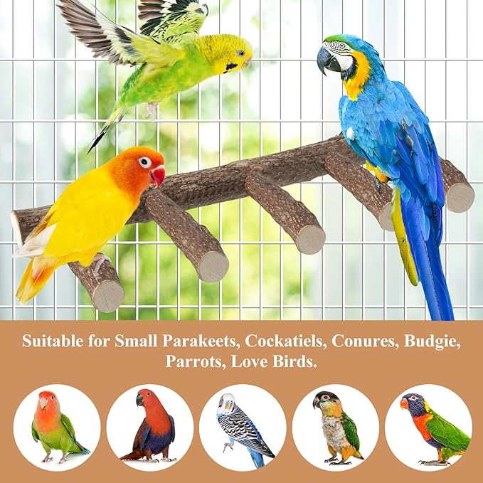Parrot Wood Stand, Parrots Perch for Cage, Natural Bird Ladder for Small Medium Parrot, Parakeets, Cockatiels, Conures, Hamster(12.2 inch)