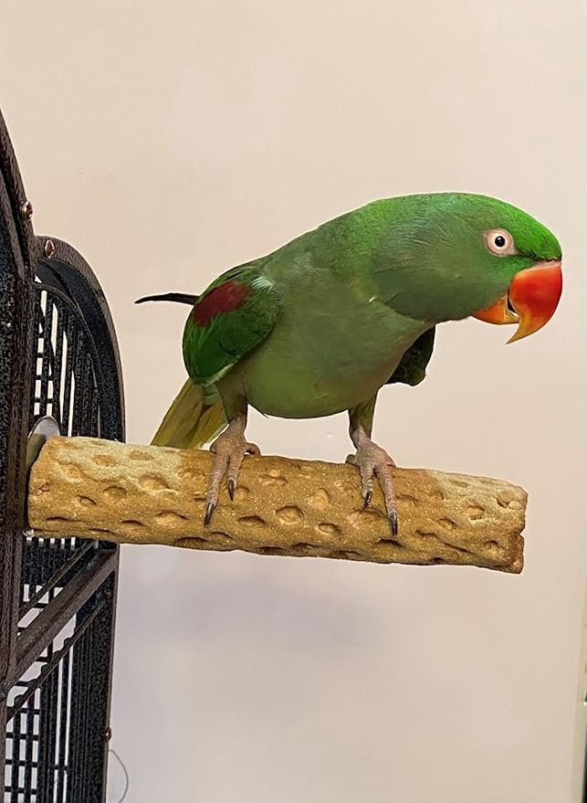 Polly's Beach Sands Nail Trimming Bird Cage Perch for Parakeets, Cockatiels, Amazons, Grays, Cockatoos, Macaws, eclectus and Many Other Birds (Medium, Brown)