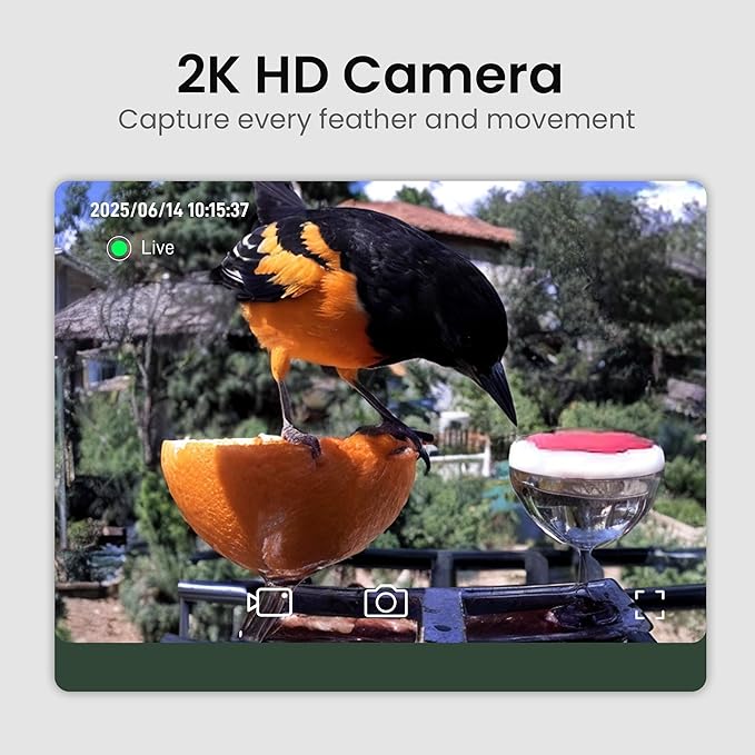 Bird Feeder with Camera Solar Powered 2K HD Video, 10,000+ Species AI Recognition, Real-Time App Alerts, and Weatherproof Design for Effortless Birdwatching, Gift for Bird Lovers, Grass Green
