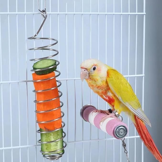 2Pcs Bird Foraging Toy, Steel Holder for Bird Cage Accessories Hanging Fruit Vegetable Feeder for Parrot Cage Parakeet