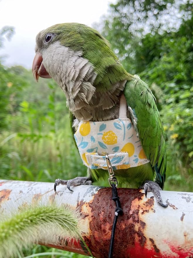 Bird Flight Harness Vest, Parrot Flight Suit with Leash for Parakeets Cockatiels, Bird Flying Clothes with Rope and Handle for Outdoor Activities Training (Yellow with Leash,Large)