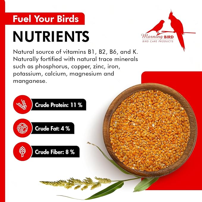 Morning Bird Red Proso Millet 9 lbs – Natural Bird Seed – Supports Feather Growth & Balanced Nutrition – Great Flavor, Energy Dense - Ideal for Finches, Parakeets & Pet Birds