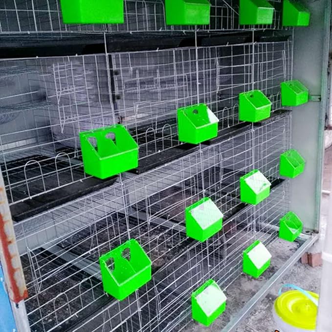 Pigeon Feeder Water 2 Pack Quail Bird Chicken Feeder Water Dispenser Drinkers with 2 Hole Pet Bowls & Feeders Eat Food (Two Hole (Green))