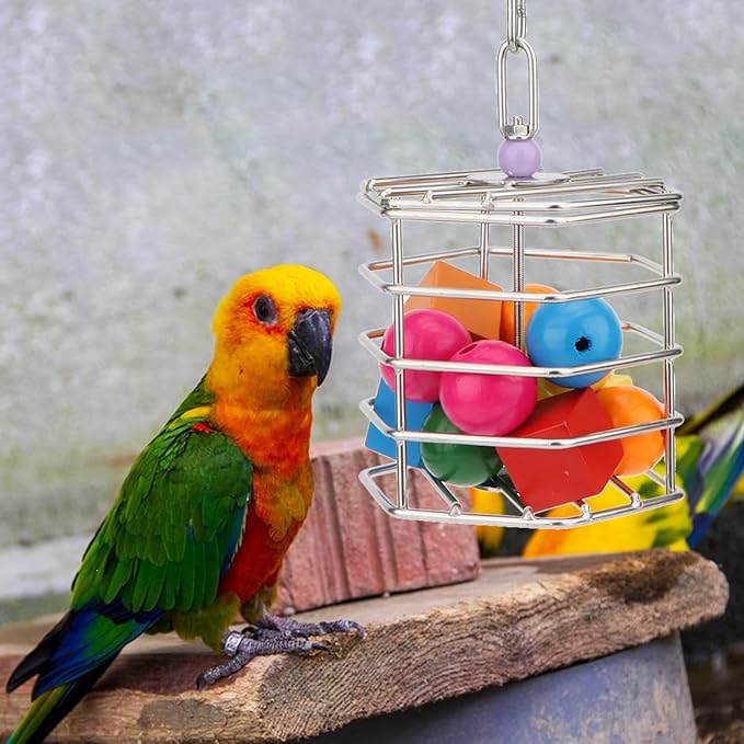 Hypeety Bird Foraging Toys Stainless Steel Foraging Basket Millet Holder for Bird Cage Unique Hanging Feeder for Macaws Cockatoos African Grey Cockatiel Conures Amazon Parrot(Feeder+Blocks)