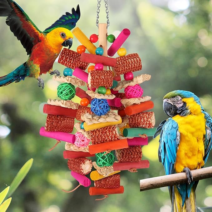 Kyouki Parrots Toys for Cockatiels, Budgies, Conures, Lovebirds, Quakers, Parrotlets, Caiques, Senegals, Meyer's & Other Small/Medium Birds - Natural Chewing & Foraging Toy with