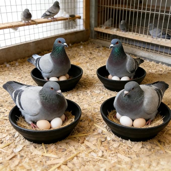 DQITJ 4 Pack Bird Nest Bowl Plastic Racing Pigeon Breeding Hatching Nest Box Birdcage Egg Basin for Pigeon Chicken Doves Quail Bird (Dia: 8.6 Inches, Black)