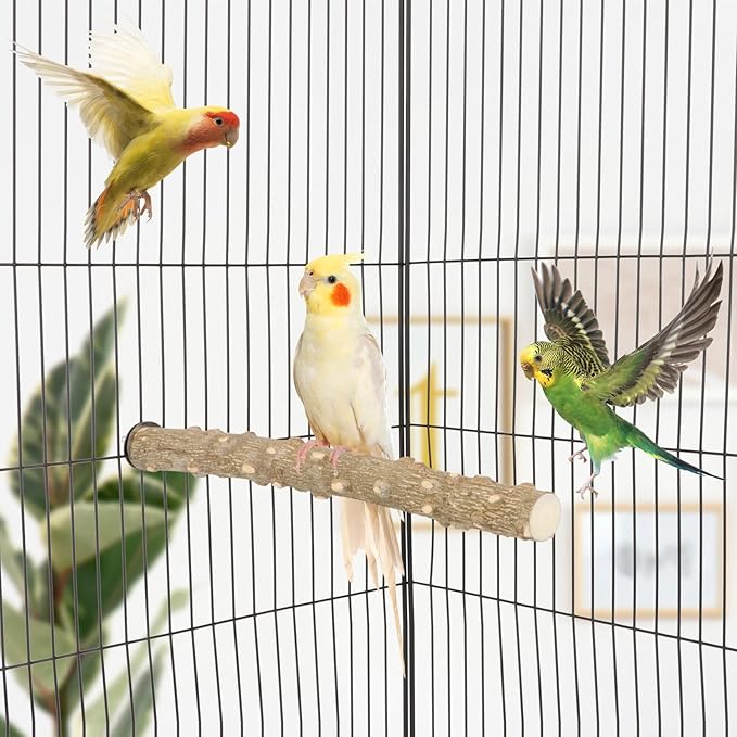 Hypeety Natural Prickly Ash Wood Perch Stand Toy Parrot Stand Holder Paw Grinding Perch Bird Chew Perch for Budgie Parakeet Cockatiel Conure Lovebird (11.79 inch)