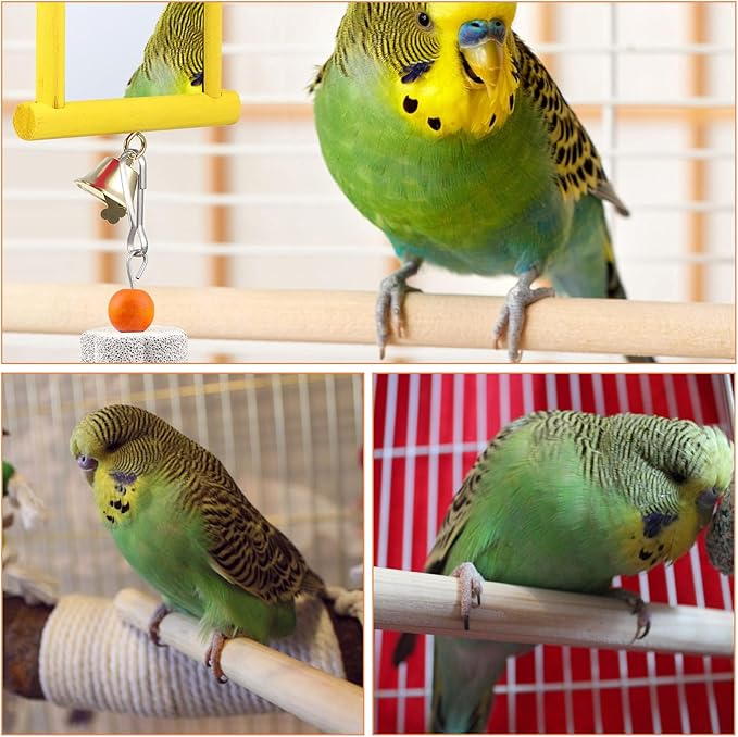 Bird Perches for Cage, Natural Wood Bird Perches Set of Five, Essential Foot Exercise and Health Maintenance for Small to Medium Birds, Multiple Lengths Include 10cm 15cm 20cm 25cm 30cm