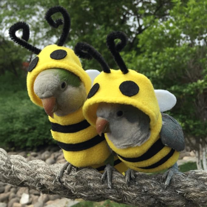 Bird Costume Diaper Flight Suit Bee Shape Hoodie Clothes Cosplay Photo Prop for Parrots Parakeet Cockatiel Sun Conure, Small Animals Apparel (Bee Without Diaper, Large), Green (BPF1)