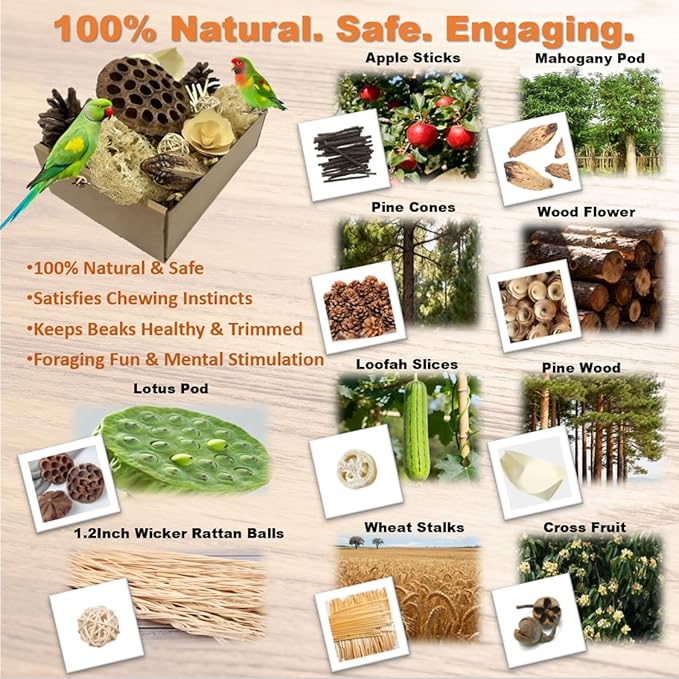 Bird Toys - Lotus Pod Foraging Box, 10 Natural Ingredients | Chewing and Shredding Parrot Toys | Ideal for Parakeets/Cockatiels/Conures/Lovebirds and Small to Medium Birds