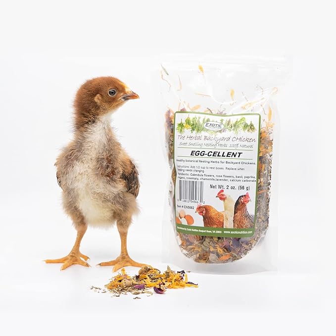 Exotic Nutrition Egg-Cellent (2oz) - Healthy All-Natural Chicken Nesting Herbs - Natural Flowers, Herbs & Calcium Carbonate - Promotes Healthy Chickens & Eggs (2 oz)