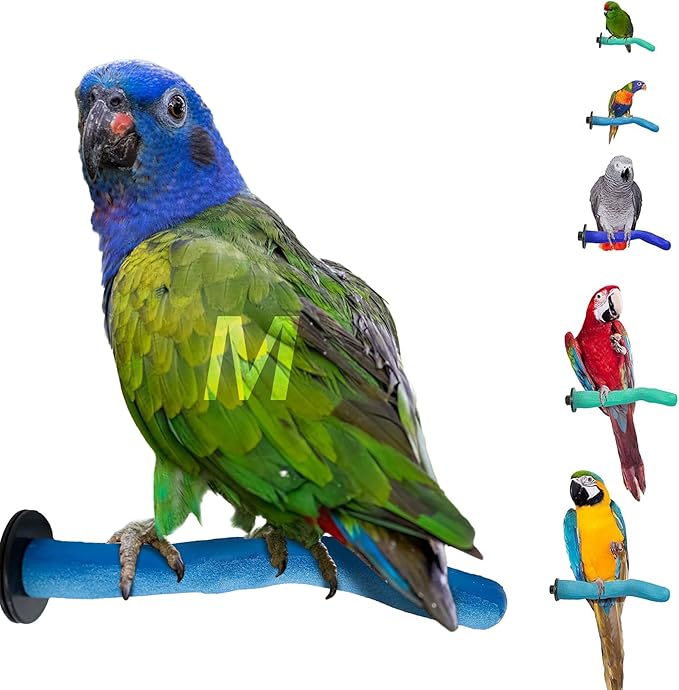 Sweet Feet & Beak Safety Pumice Bird Perch, Medium 1-1/4" X 12", Lightweight Grinding Bird Perches for Cage - Bird Nail Trimming Perch for Healthy Beak & Feet - Multi-Size & Color Parrot Stand - Blue